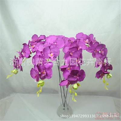 济南槐荫天合九园花卉商行 蝴蝶兰仿真花批发市场的新选择