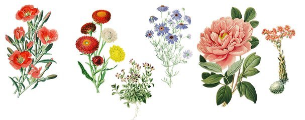 复古花卉灵感在家具设计中的优雅绽放